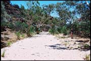 RIMG0077_ROLL2DX-13