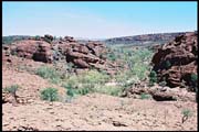 RIMG0077_ROLL2DX-19