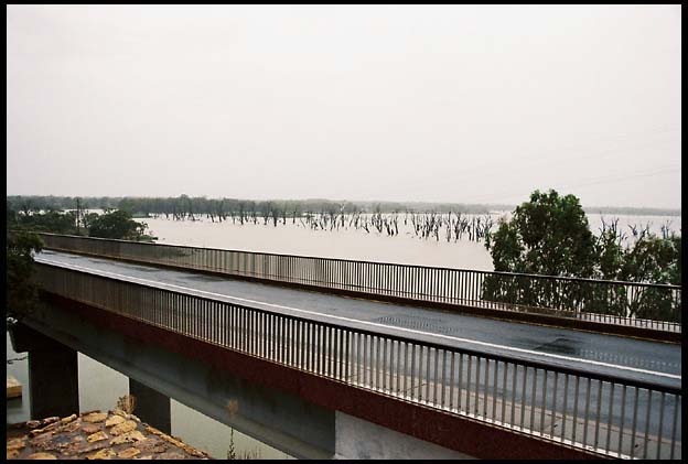 RIMG0307_ROLL1DX-17