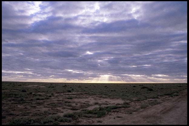 005_NR