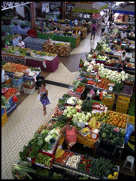 071103_rimg0478