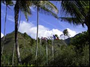 071103_rimg0439