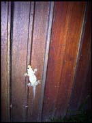 071103_rimg0459