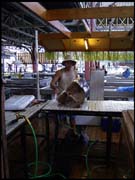 071103_rimg0477