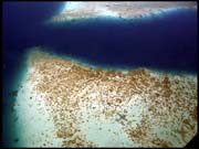 071103_rimg0490