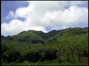 071103_rimg0495