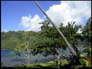 071103_rimg0502