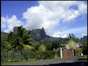 071103_rimg0503