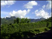 071103_rimg0504