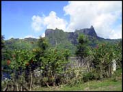 071103_rimg0505