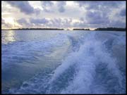 RIMG0018_060305_