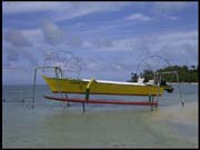 RIMG0038_060305_