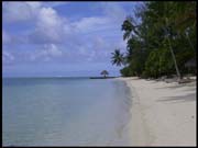 RIMG0040_060305_