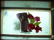 RIMG0044_060305_