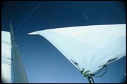 RIMG0056_060305_F1000011