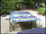 RIMG0062_060305_