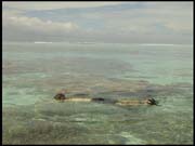 RIMG0067_060305_