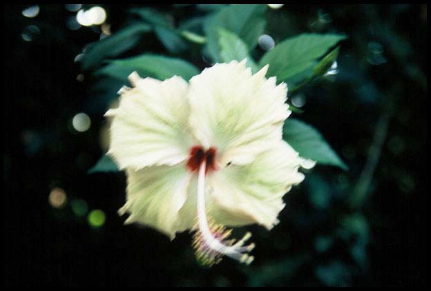 RIMG0005_F1010015