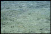 RIMG0002_F1010012