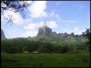 RIMG0006_110305