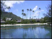 RIMG0017_110305