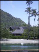 RIMG0018_110305