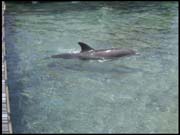 RIMG0022_110305