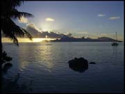 RIMG0038_110305