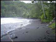 RIMG0048_110305