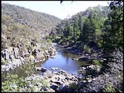 20040213_RIMG0039