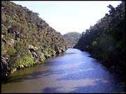 20040213_RIMG0047