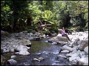 20040213_RIMG0054