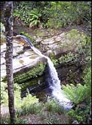 20040213_RIMG0056