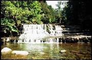 20040213_RIMG0059
