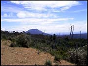 20040213_RIMG0062