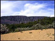 20040213_RIMG0064