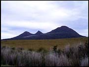 20040213_RIMG0070