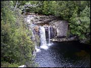 20040215_RIMG0075