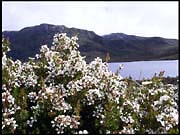 20040215_RIMG0079