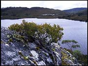 20040215_RIMG0080