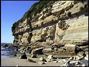 20040216_RIMG0091