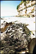 20040216_RIMG0092