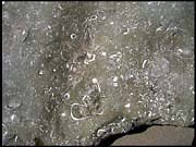 20040216_RIMG0094