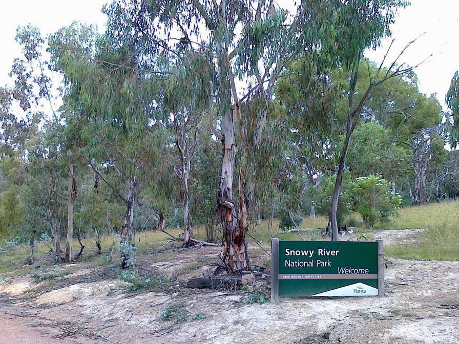 Snowy National Park