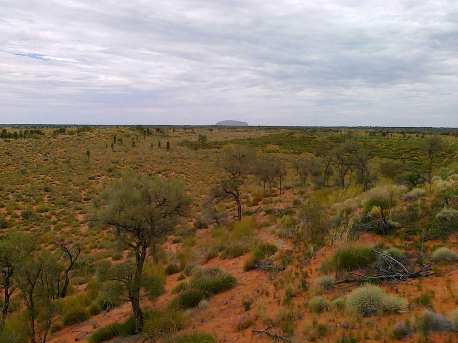 Uluru
