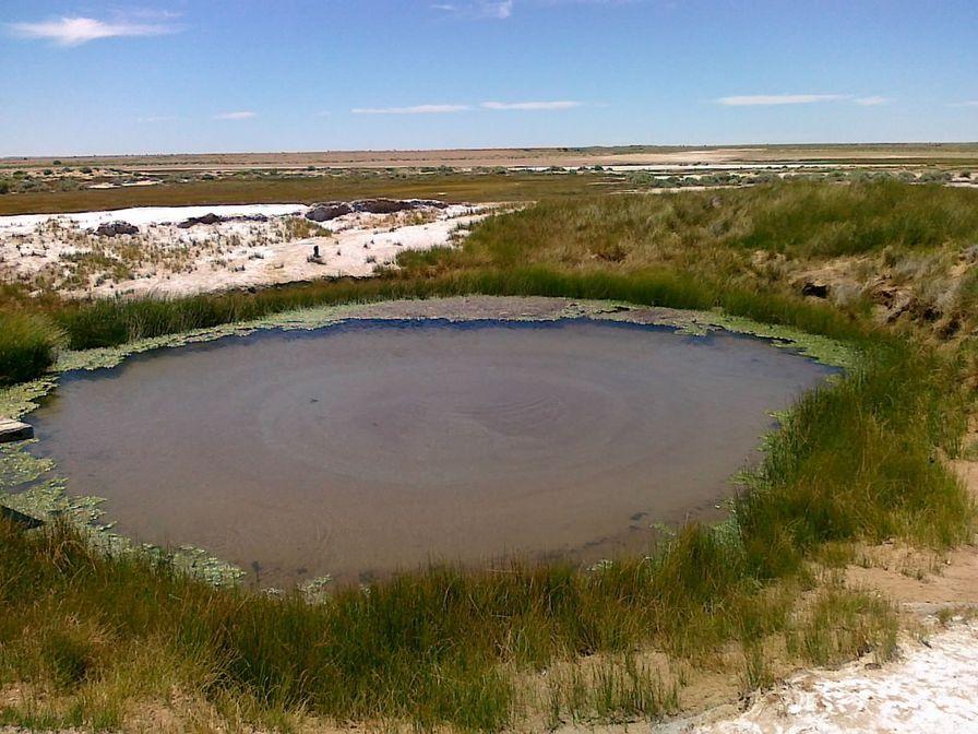 Springs - Oodnadatta Track