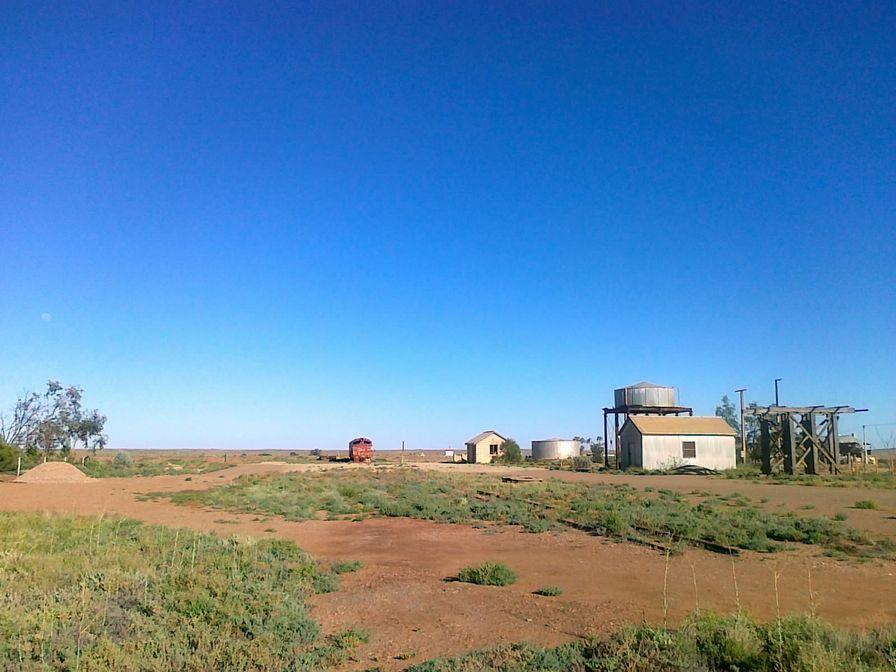 Marree