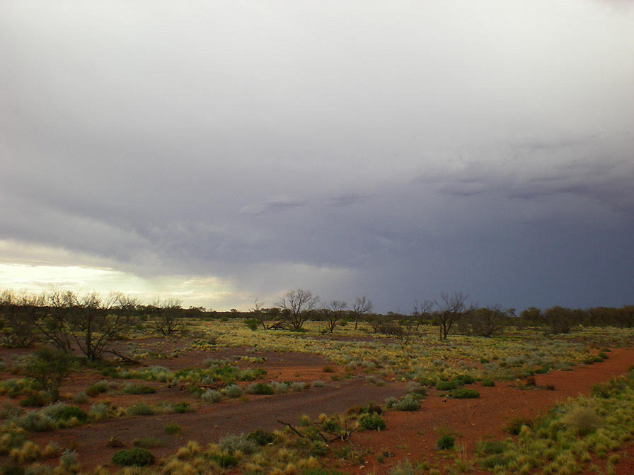 Cool Rain - Stuart Highway