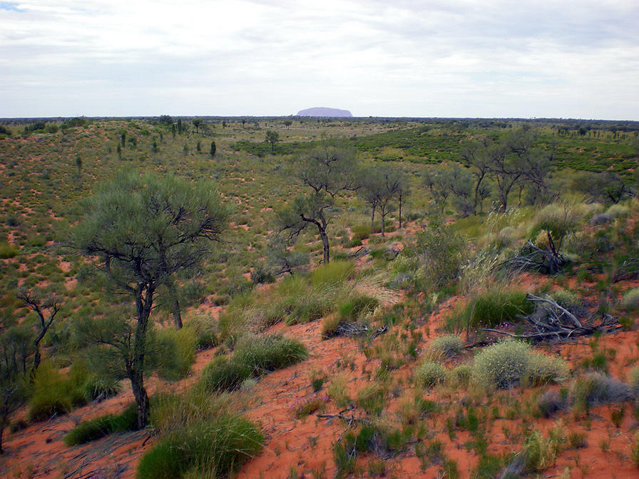 Uluru