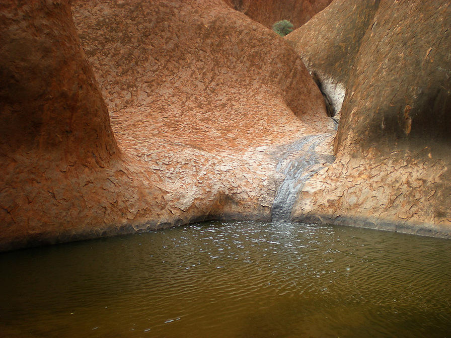 DSCN1775